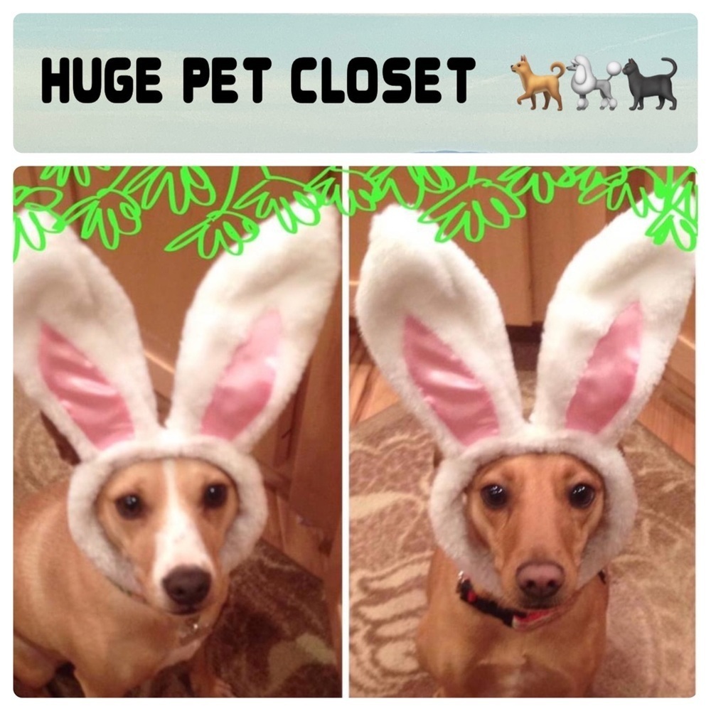 HUGE PET CLOSET 🐕‍🦺🦮